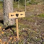 Metsaesydaen Moekki 4 Mettaepoeyroeoe *