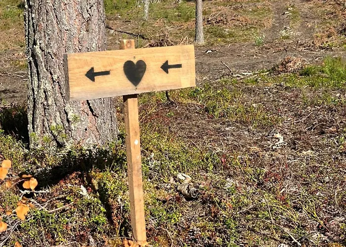 Metsaesydaen Moekki 4 Mettaepoeyroeoe *