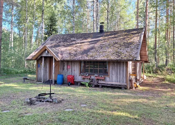 Metsaesydaen Moekki 4 Mettaepoeyroeoe *