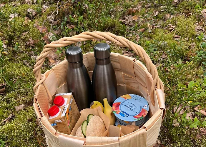 Metsaesydaen Moekki 4 Mettaepoeyroeoe Camping *