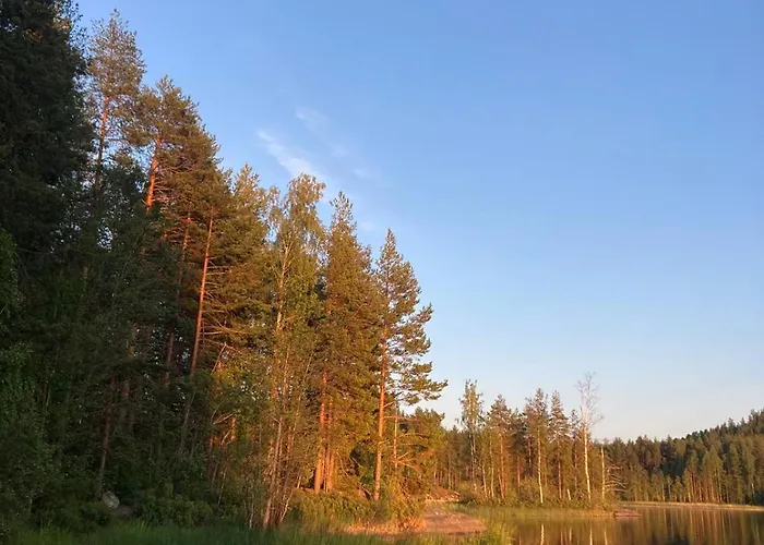 Metsaesydaen Moekki 4 Mettaepoeyroeoe * Puumala